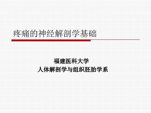 麻醉解剖学-疼痛(修订版)ppt