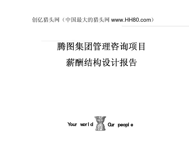 普华永道：集团薪酬结构设计报告