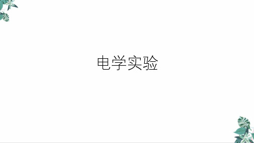 浙教版科学中考复习电学实验(37张)