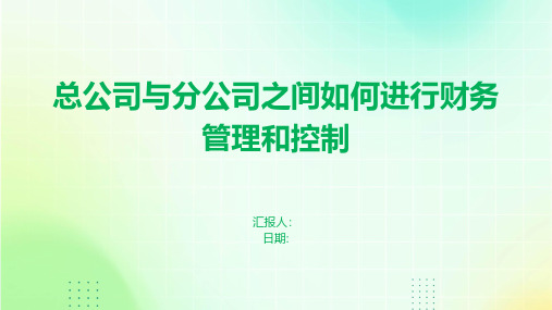 总公司与分公司之间如何进行财务管理和控制