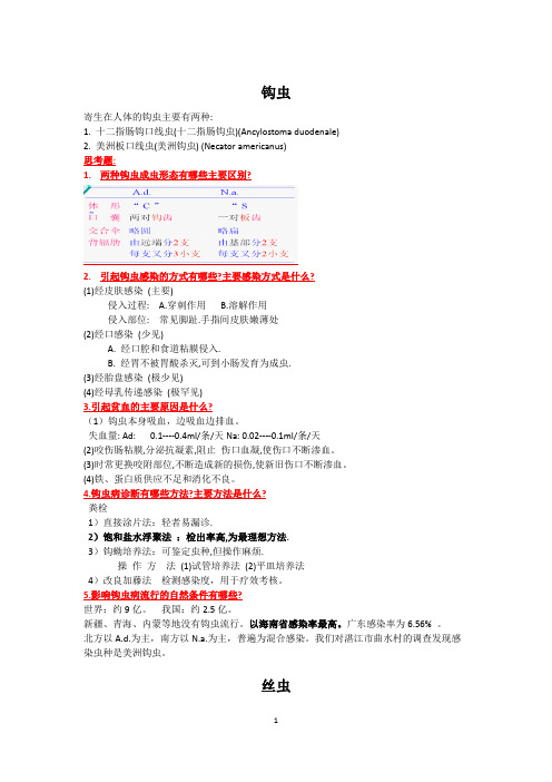 《寄生虫》重点整理