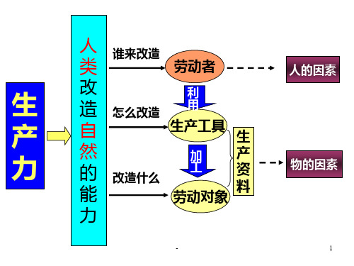 原始社会(2019年12月整理)PPT课件