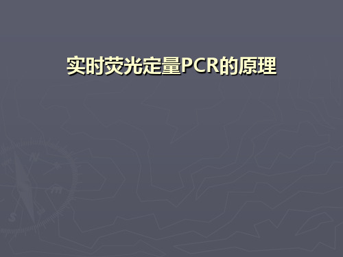 实时荧光定量PCR的原理