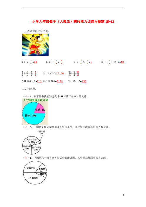 六年级数学寒假能力训练与提高1513 人教版