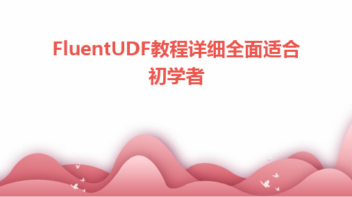 FluentUDF教程详细全面适合初学者