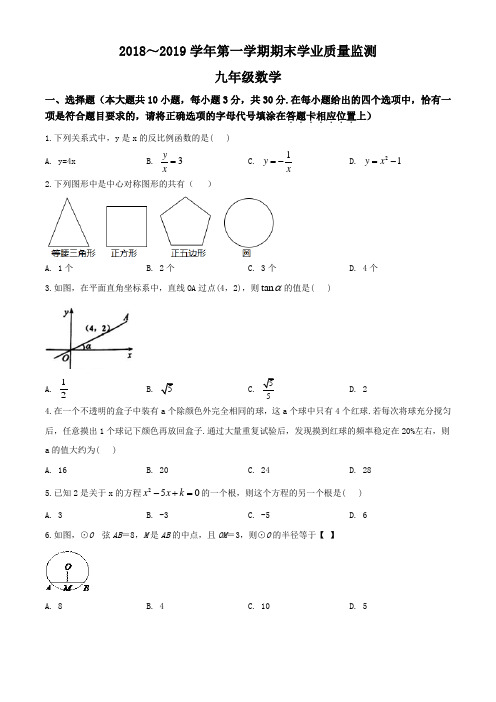 江苏省南通市海安市海安县城南实验中学2018-2019学年九年级上学期期末数学试题(含解析)