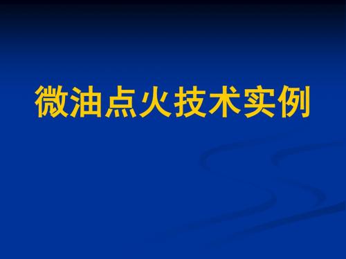 微油点火技术实例