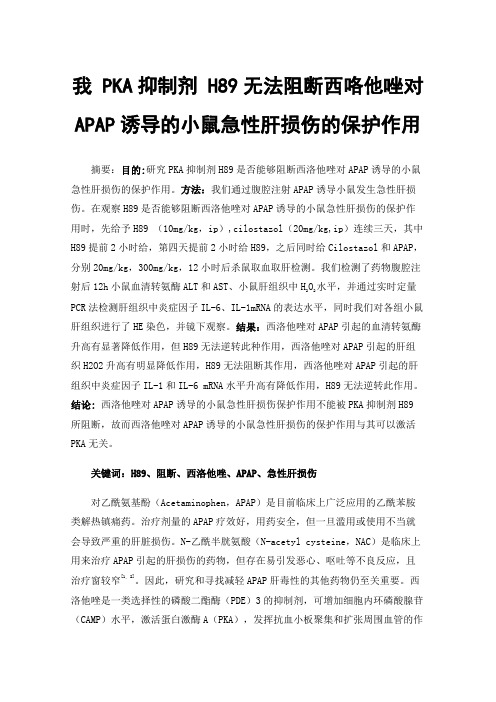 我PKA抑制剂H89无法阻断西咯他唑对APAP诱导的小鼠急性肝损伤的保护作用