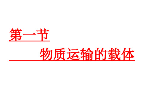 济南版七年级生物下册第三单元第三章第一节物质运输的载体课件(共31张PPT)