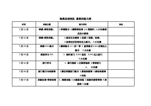 15天足球训练大纲