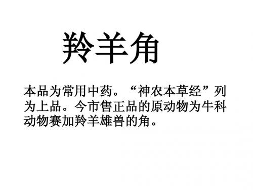 羚羊 医 药