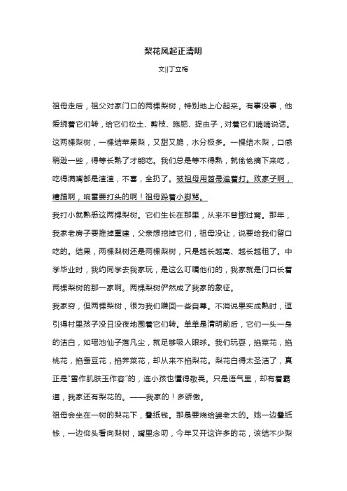 丁立梅传统节日散文两篇