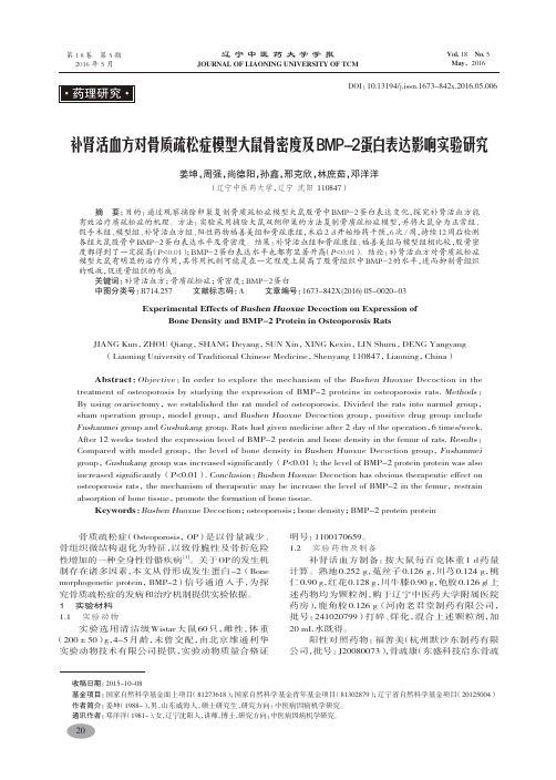 补肾活血方对骨质疏松症模型大鼠骨密度及BMP-2蛋白表达影响实验研究-姜坤