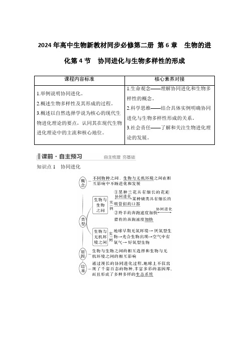 2024年高中生物新教材同步必修第二册 第6章 生物的进化协同进化与生物多样性的形成含答案