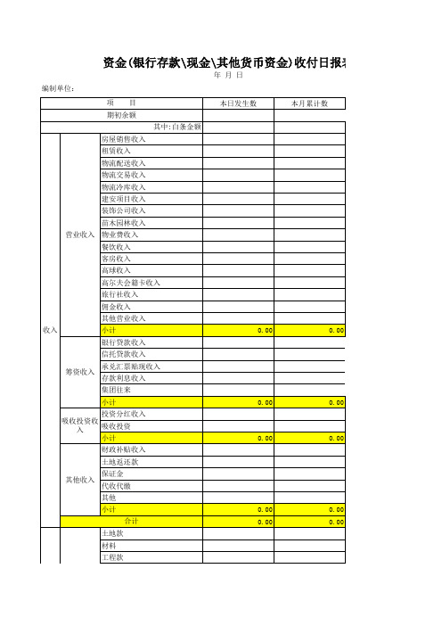 资金收付日报表(模板)