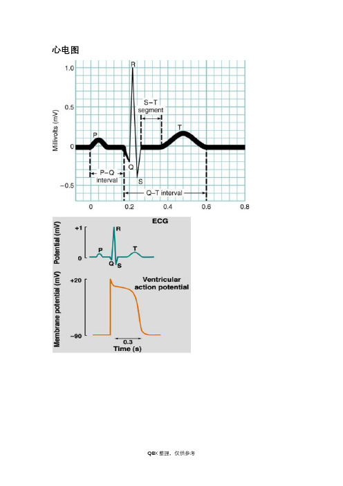 心电图的波形说明
