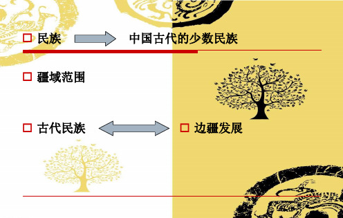 中国民族史专题ppt课件