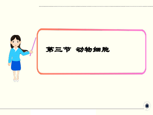 最新部编人教版七年级生物上册《细胞是生命活动的基本单位-动物细胞》PPT教学课件