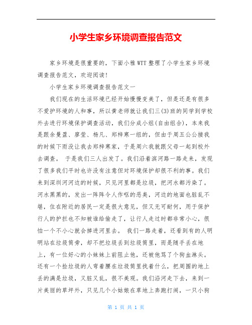 小学生家乡环境调查报告范文