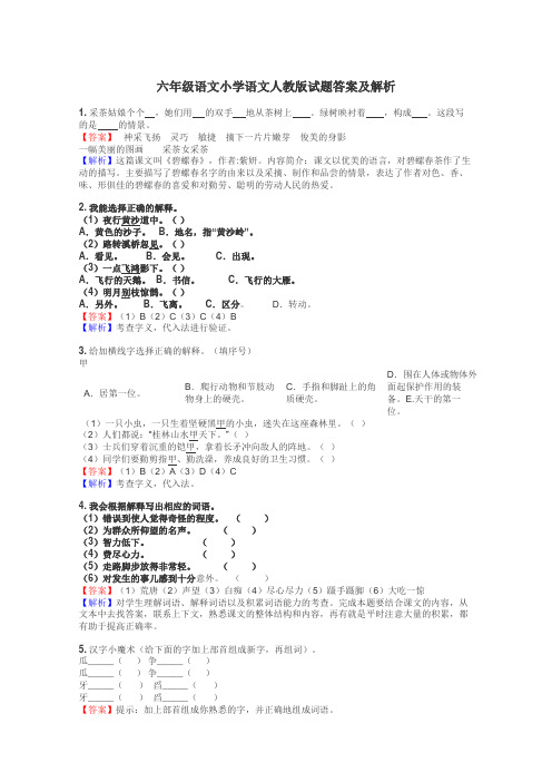 六年级语文小学语文人教版试题答案及解析
