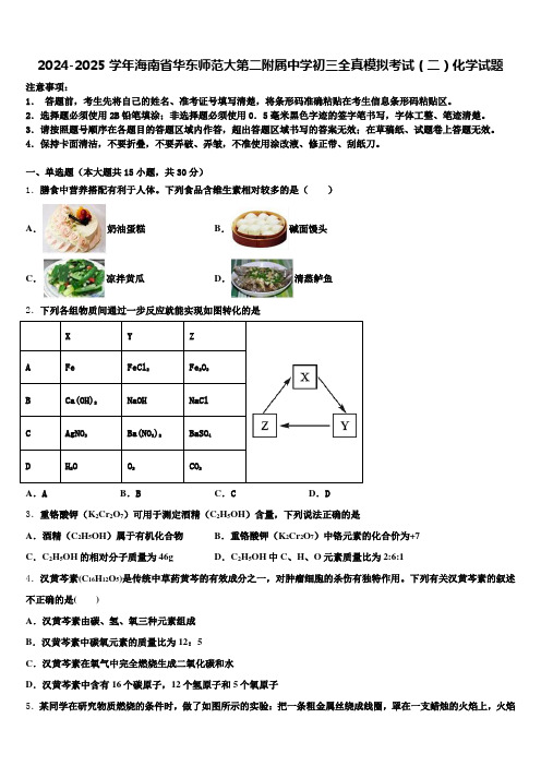 2024-2025学年海南省华东师范大第二附属中学初三全真模拟考试(二)化学试题含解析