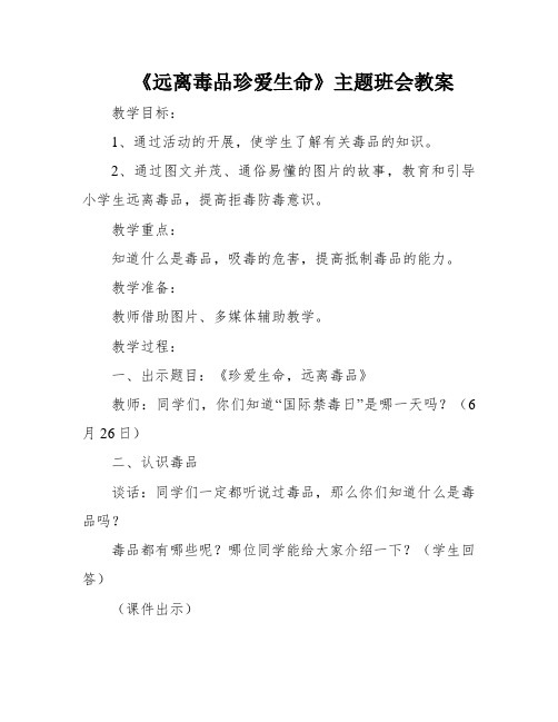 《远离毒品珍爱生命》主题班会教案