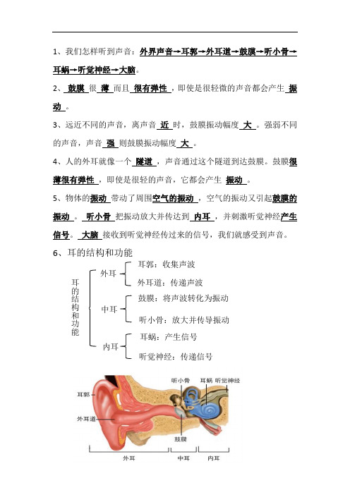 四年级上册科学我们是怎样听到声音的