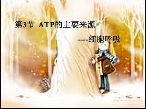 ATP的主要来源----细胞呼吸