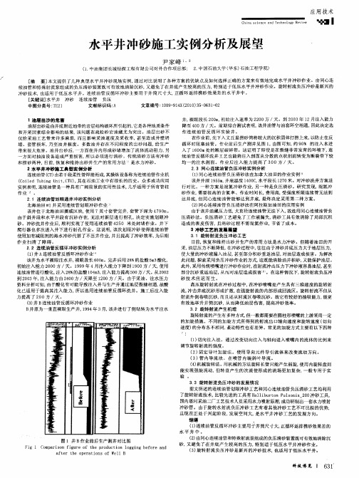 水平井冲砂施工实例分析及展望