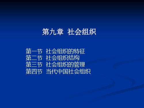 社会组织概论(PPT 52页)