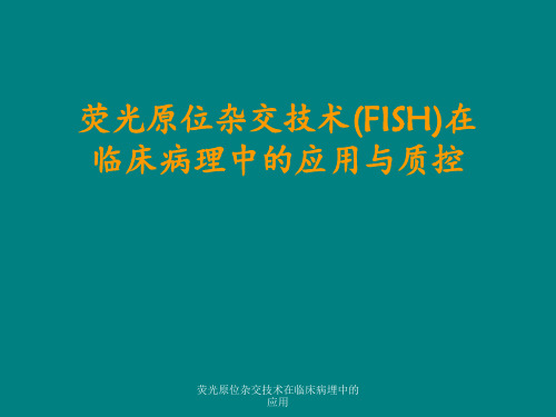 荧光原位杂交技术在临床病埋中的应用 ppt课件