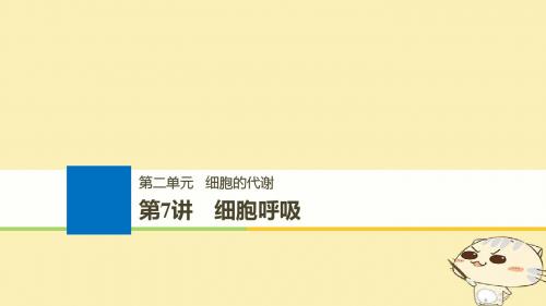 (浙江选考)19版高考生物一轮总复习第二单元细胞的代谢第7讲细胞呼吸课件