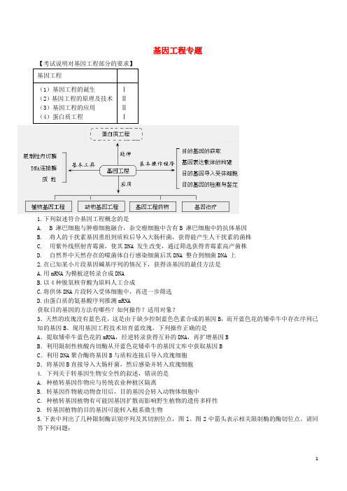 北京市高考生物总复习 现代生物科技专题 基因工程专题学案(无答案)