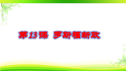 人教版部编九年级下册 第13课 罗斯福新政 (共29张PPT)