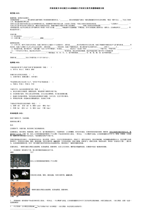 河南省新乡市红旗区2024部编版小升初语文统考真题精编提分版