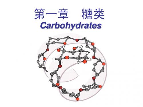 生物化学 第一章糖类