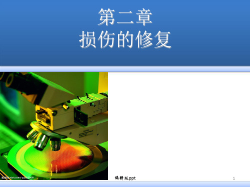 病理学损伤的修复医学PPT