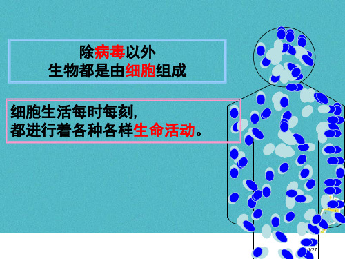 七年级生物上册第二单元第一章第四节细胞的生活市赛课公开课一等奖省名师优质课获奖课件