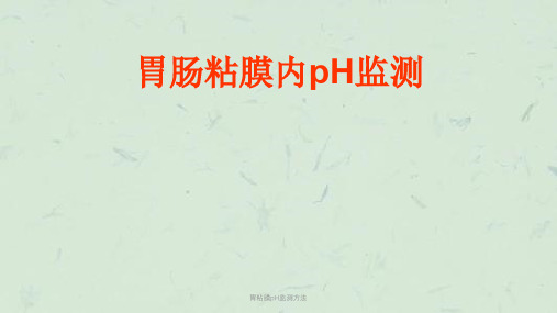 胃粘膜pH监测方法ppt课件