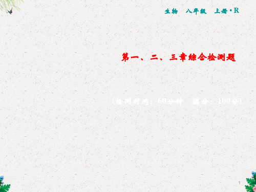 人教版生物八年级上册习题课件：综合检测1+2+3(共22张PPT)