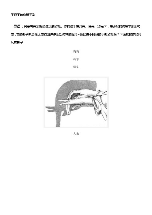 手把手教你玩手影