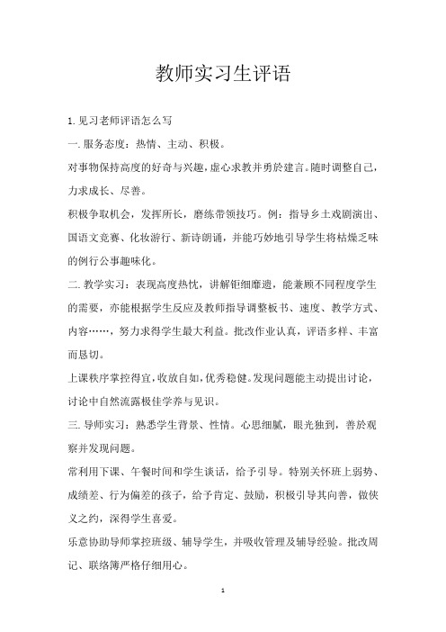 教师实习生评语