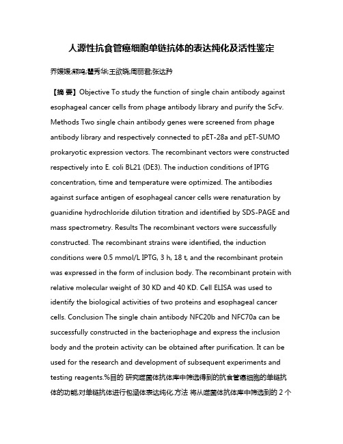 人源性抗食管癌细胞单链抗体的表达纯化及活性鉴定