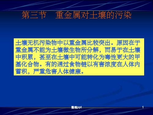 环境科学第四章重金属对土壤的污染