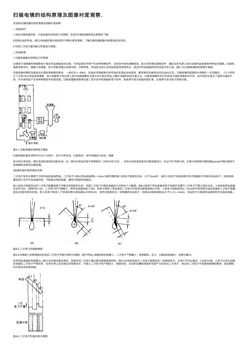 扫描电镜的结构原理及图像衬度观察.