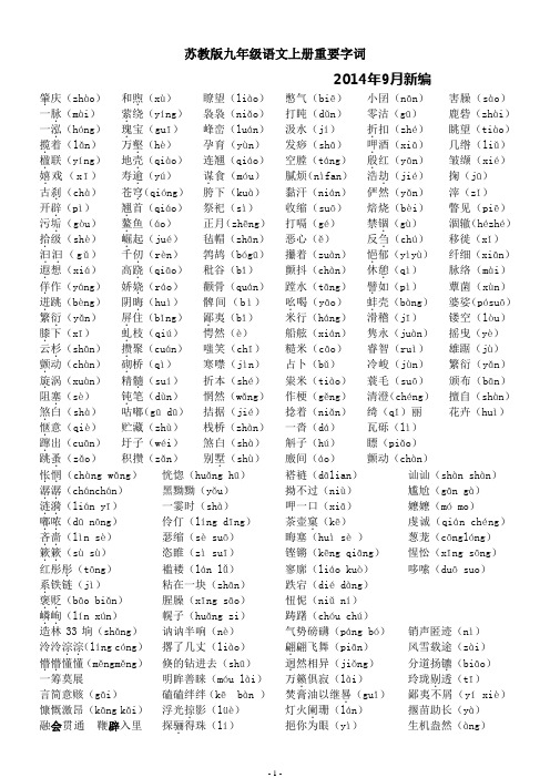 苏教版九年级上册字词