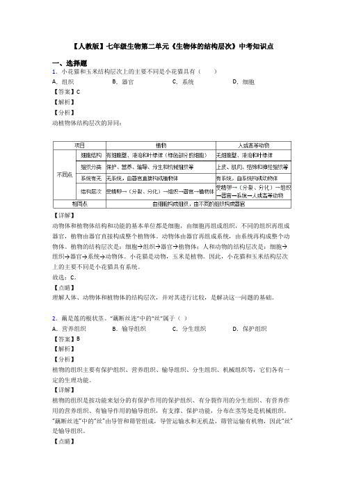 【人教版】七年级生物第二单元《生物体的结构层次》中考知识点