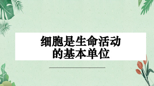 新教材细胞是生命活动的基本单位(15张PPT)(完美版课件)