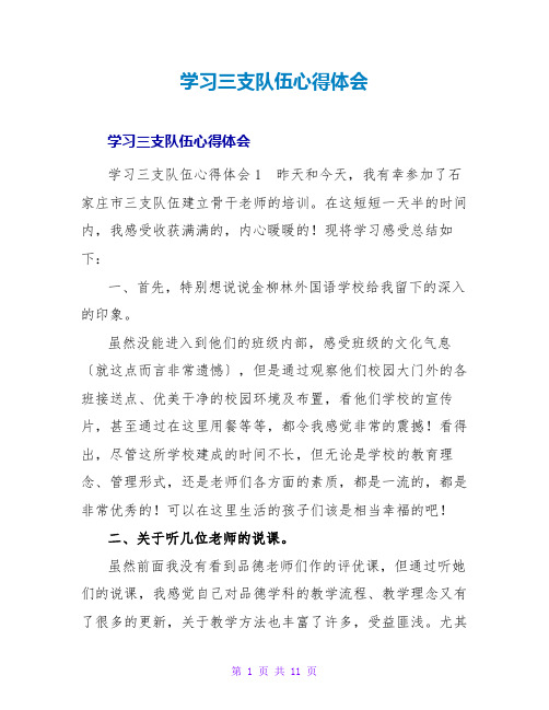 学习三支队伍心得体会