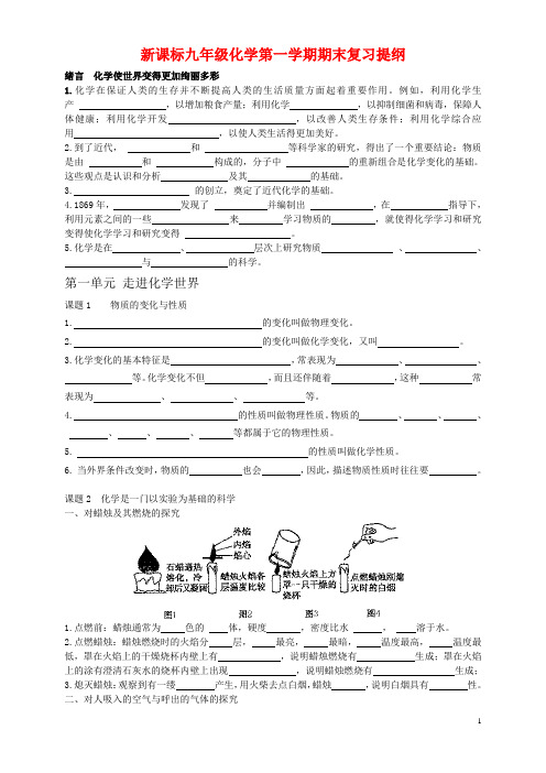 新课标九年级化学第一学期期末复习提纲